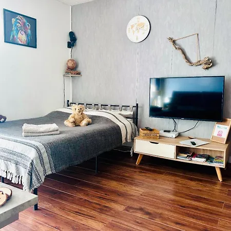 Studio Climatise Le Flot Bleu Proche Plages, Aeroport, Centre Formations, Cap 3000, Cerfpa Apartment *